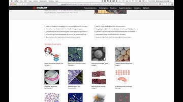 Twitch Talks - Image Computation for Microscopy