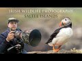 Saltee islands 2022 irish wildlife photography puffins