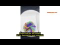Review PULUZ Light Box Photography, 12"x12" Professional Dimmable Shooting Tent Kit with CRI 95 Whit