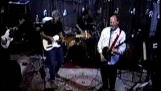 The Presidents of the United States of America - nuthin but luv (Live)