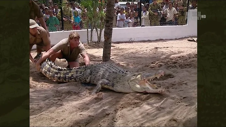 The Crocodile Hunter - Best Of Steve Irwin - S01 E02