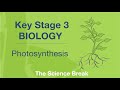 Photosynthesis Quiz