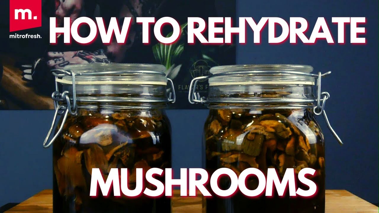 How to rehydrate mushrooms YouTube