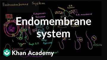 Endomembrane system | Structure of a cell | Biology | Khan Academy