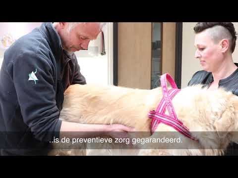 Video: Wie Is Er Voor Veiliger Voer Voor Huisdieren? De FDA, Voor één