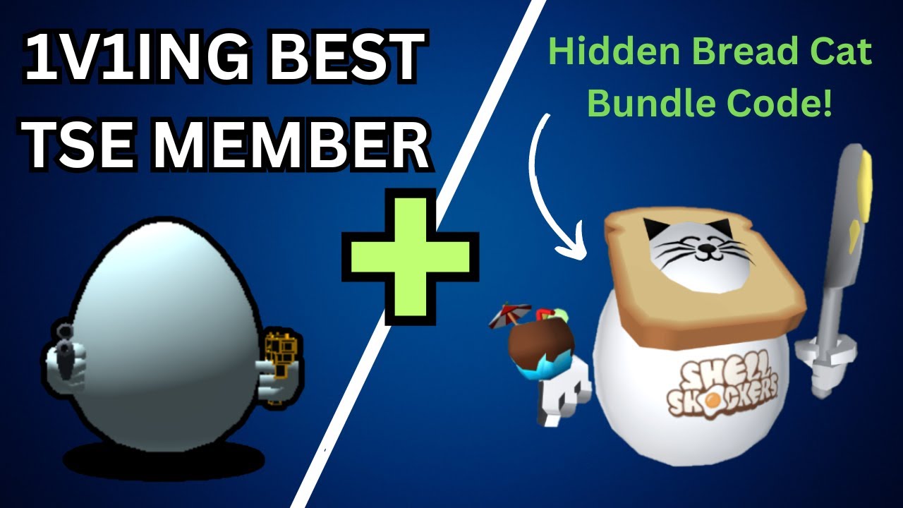 1V1 With The Best Player In TSE | + Hidden Bread Cat Bundle Code ...