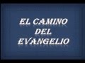 el camino del evangelio pista con letra