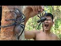 Find and Catch Wild Spider for Cook Eat to Survival