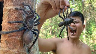 Find and Catch Wild Spider for Cook Eat to Survival
