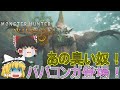 【MHWs】ぼっちハンターがいくモンハンワイルズ!【ゆっくり実況】part7