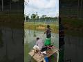 শিকারী খোকন ভাইয়ের বড়শিতে বড় রুই মাছ শিকার। flshing video