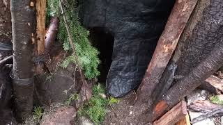 We found a Hermit house in the woods! Was he home? Hidden Hobbit den!