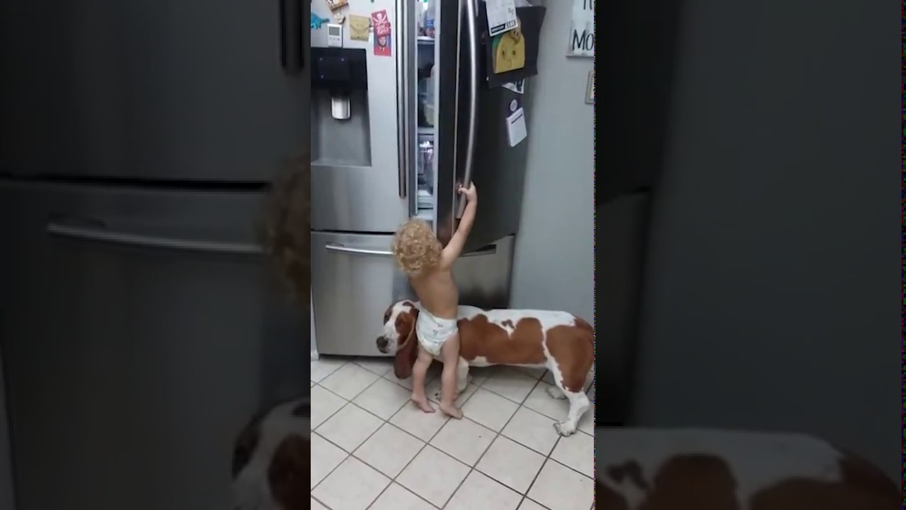 организованная преступная группировка грабит холодильник)