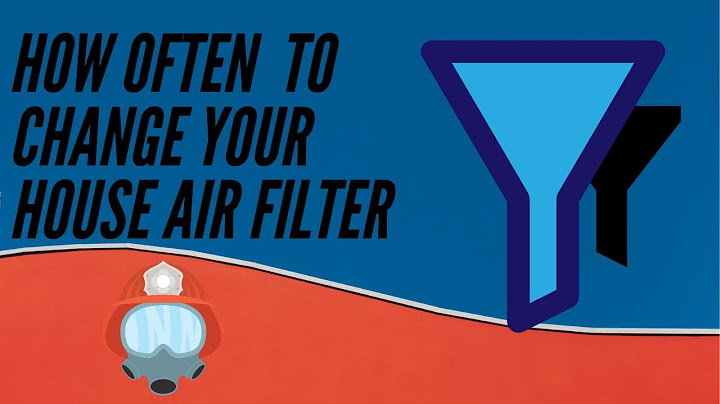 How often should you change your air purifier filter