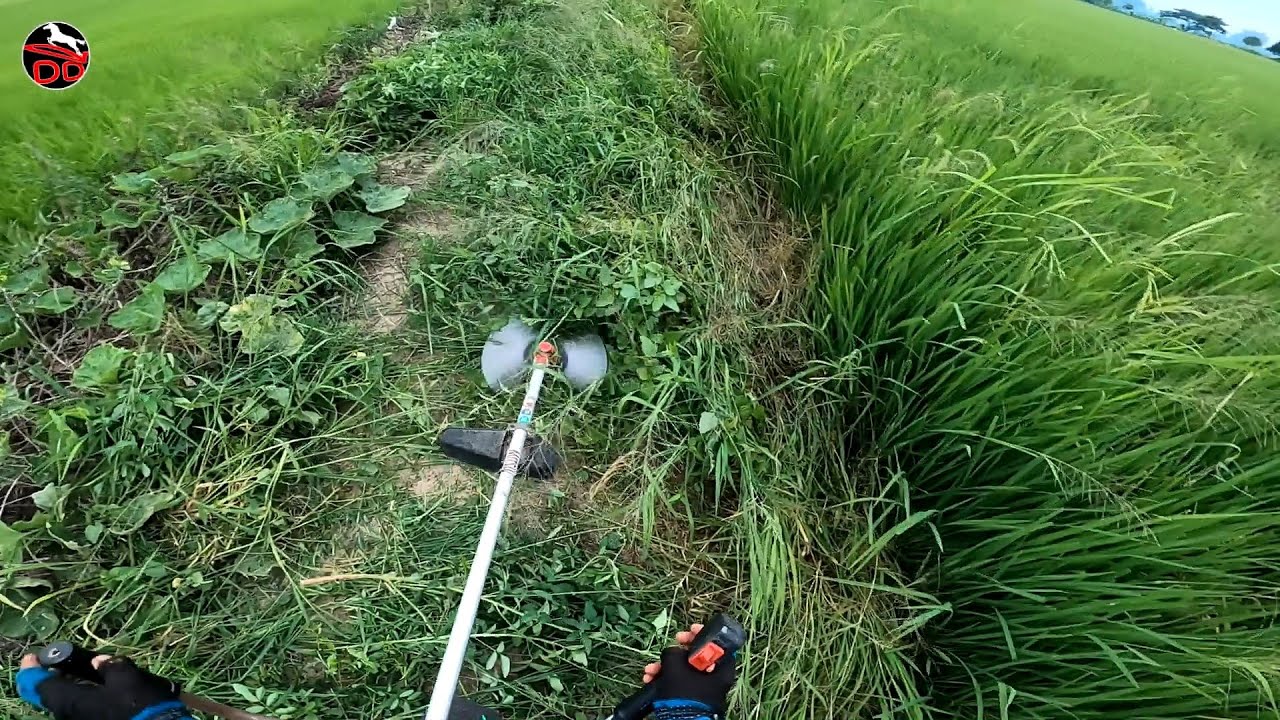 #เทคนิคเล็กๆเด็กคนชราก็ทำได้