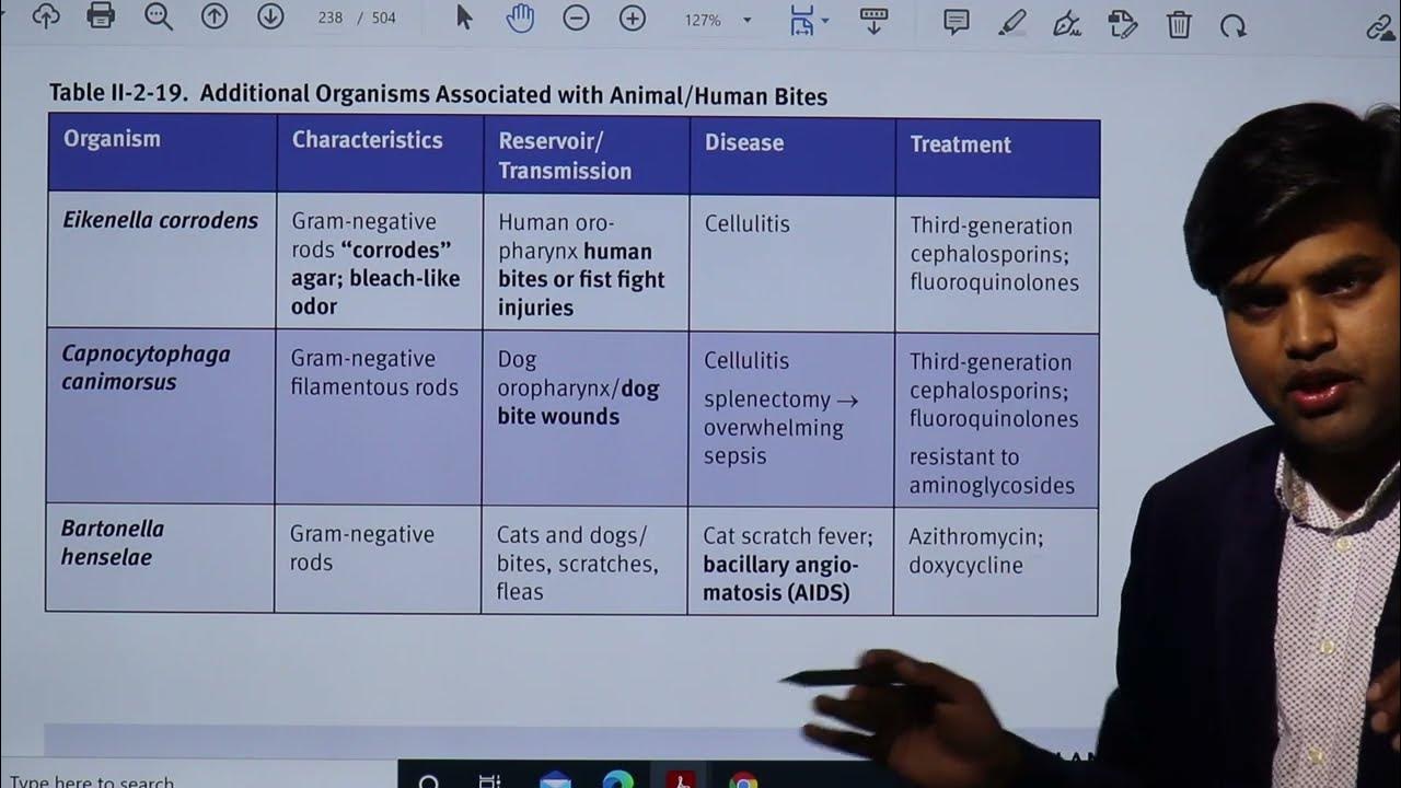 Human bites, Dog bites, Cat bites and cat scratch bacterial infection