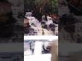 Water Fall