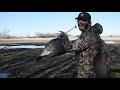 Wisconsin Evening Turkey Hunting | Big Beard Down!
