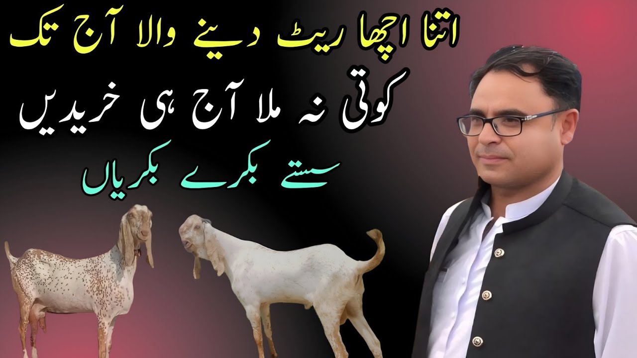 lahore-kot-lakhpat-phatak-k-pass-bahot-sasty-bakray-youtube