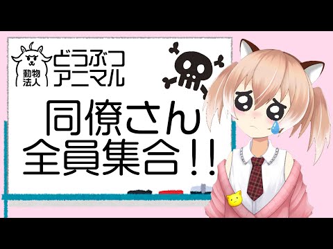 🔴【雑談配信】＼残業だよ／同僚さん全員集合！！【Vtuber】【アイルの生放送】