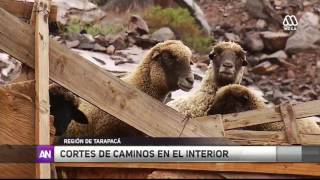 Lluvias causan daños en Tarapacá