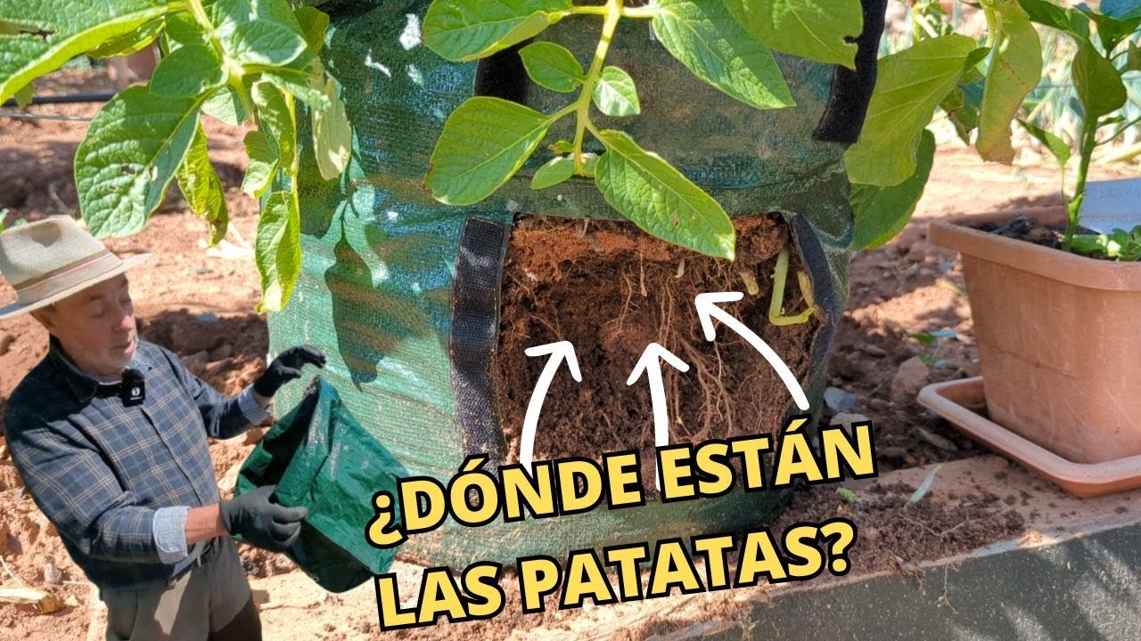 Bolsa Cultivo Bolsas De Cultivo De Patatas Con Solapa, Bolsas De Cultivo De  Plantas Patatas De Siembra, image size:1280x720