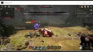 HitCrows Beta