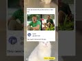 This is Catttt！laugh out loud.#funny#funnymemesvide0s #fyp  #memes