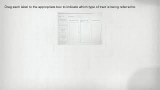 Drag each label to the appropriate box to indicate which type of tract is being referred to.