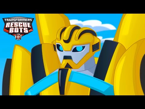 Bumblebee CRASHED! |