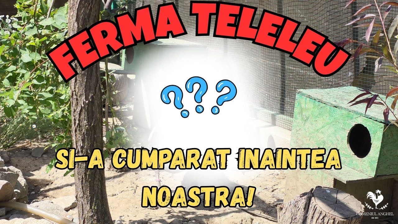 PE CE A DAT FERMA TELELEU 2000 EURO?