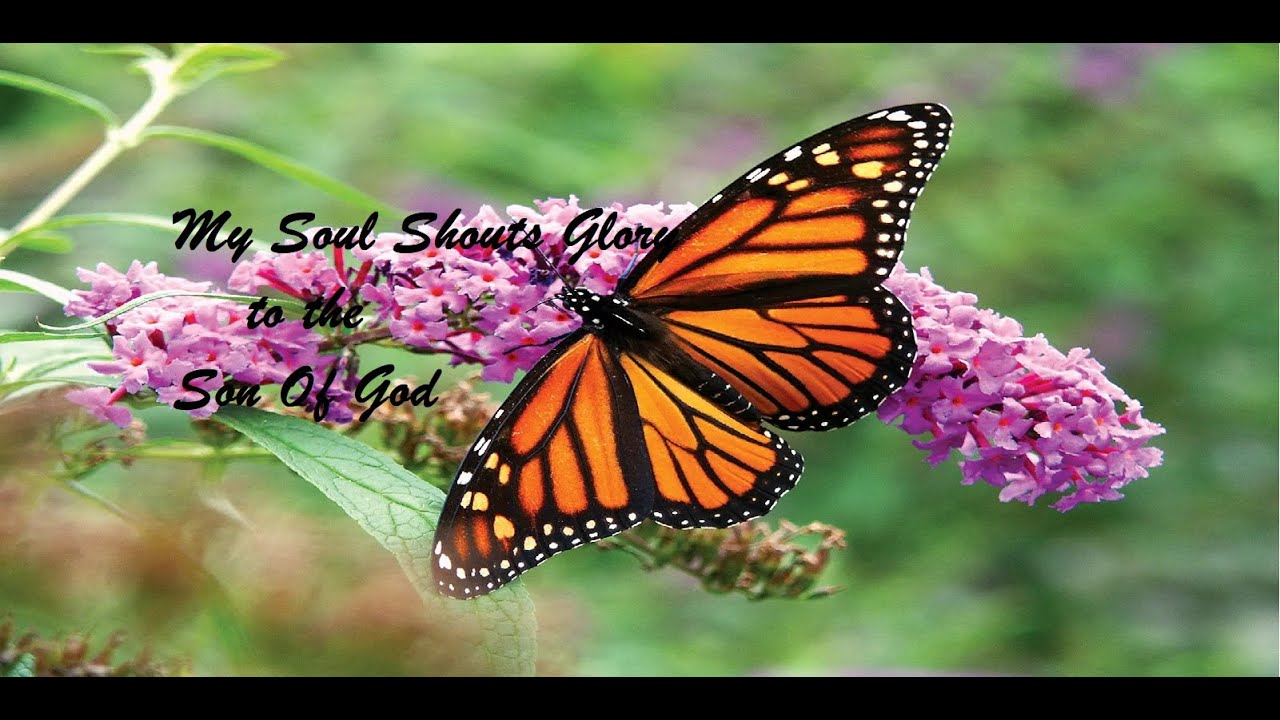 My Soul Shouts Glory to The Son Of God - With Lyrics