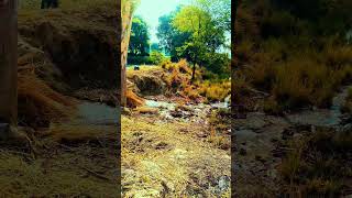 #cinamatic  colour grading# nature lover 😘🥰😘🥰 #song #crew