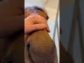 ドバイ滞在中のドラゴン