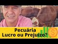 PREJUÍZO OU LUCRO? Ter Gestão é fundamental na pecuária.