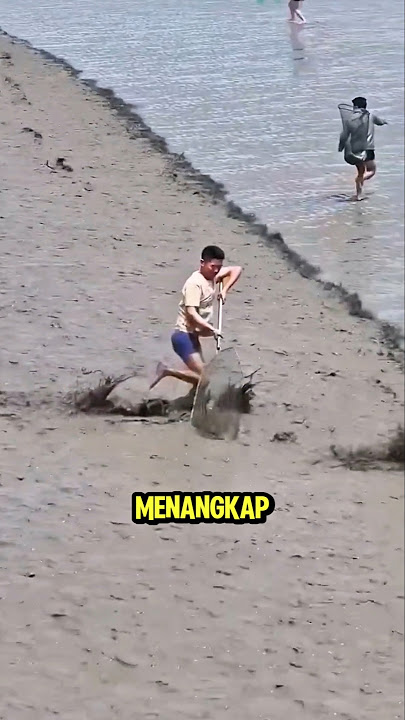 Menangkap ikan sebelum ombak berikutnya menerjang❗😮 #shorts #shortvideo
