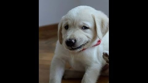 Hướng dẫn lập trình web bằng JSP – Servlet Thiết kế giao diện cho trang chủ