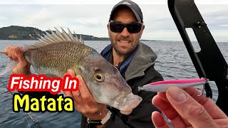 Epic Snapper Fishing With Grim Reaper Lures and A Mystery Catch | Bay Of Plenty, NZ