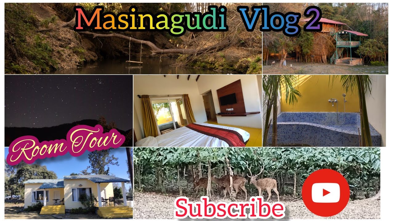 Masinagudi Vlog 2 | Room Tour #animals #ooty #masinagudi #elephant #deer #room #tour #diml #resort