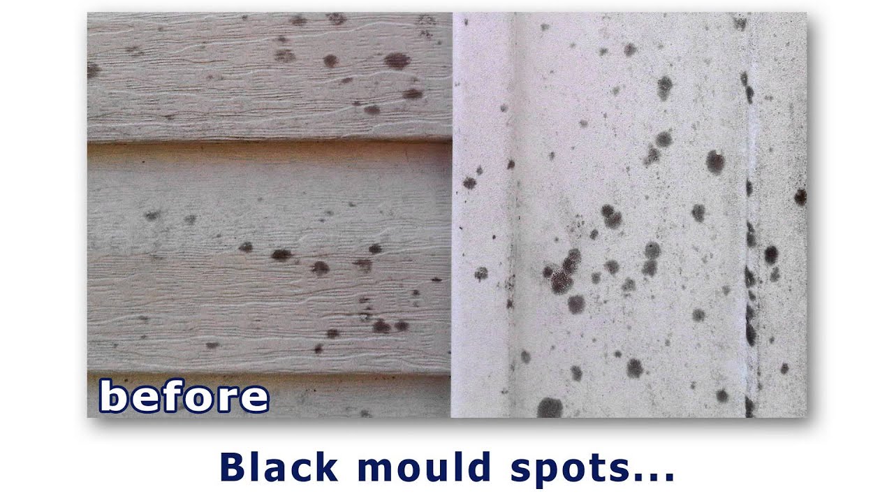 Soft Wash Siding Cleaning in Halifax, Nova Scotia by Cameron Queen