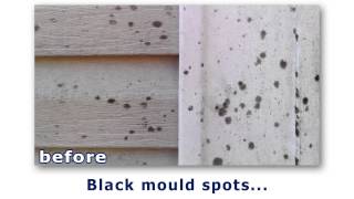 Soft Wash Siding Cleaning in Halifax, Nova Scotia by Cameron Queen screenshot 4