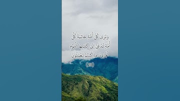 السورة: الجاثية القارئ: انس المالك الاية: 27-30