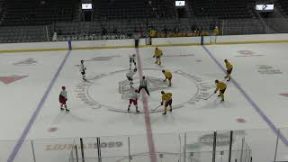 OHL Knights Camp 26 G4 White vs Gold P1