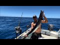 Hawaii Wahoo (Ono) Fishing Trolling On The Bigisland #fishing #offshore #trolling #boating #diawa