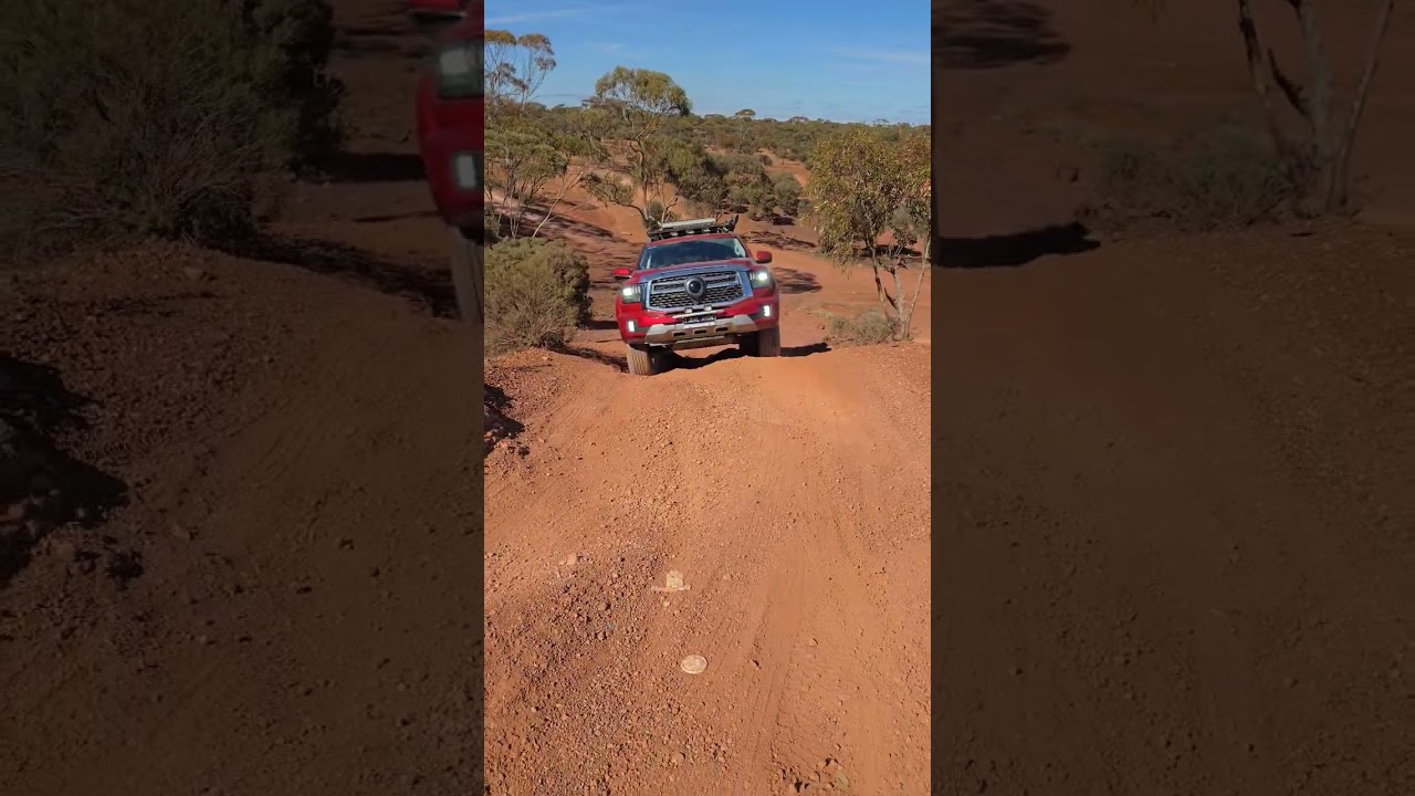 GWM cannon alpha hybrid 