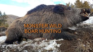 MONSTER WILD BOAR HUNTING IN TURKEY