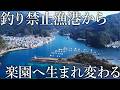 巨大な釣り禁止漁港が解放!調査すると昼間からアジや回遊魚が無限に釣れる楽園だった…