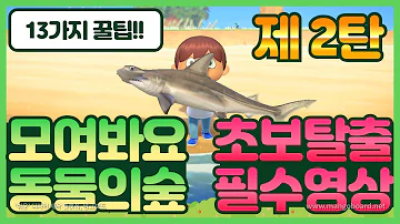 모동숲 굴팁
