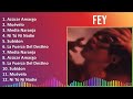 Fey 2024 mix las mejores canciones  azcar amargo muvelo media naranja ni t ni nadie