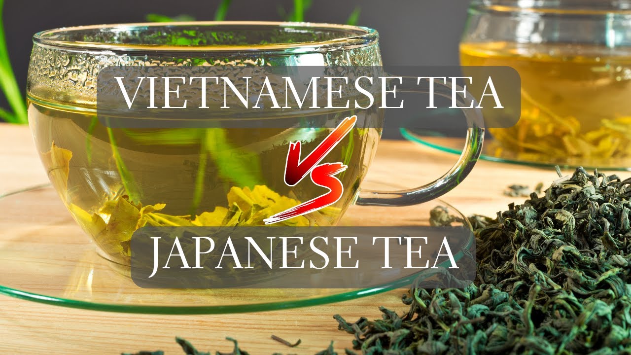 Vietnamese Tea vs Japanese Tea YouTube